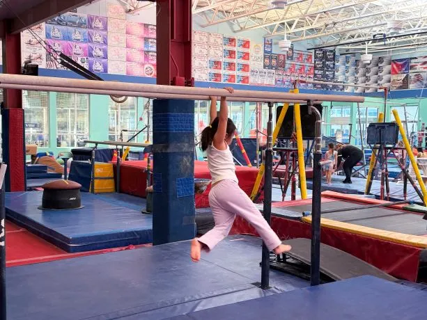 Gymjitsu (5-6 yrs)